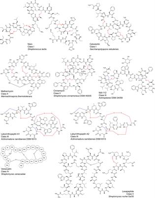 Mining and Biosynthesis of Bioactive Lanthipeptides From Microorganisms